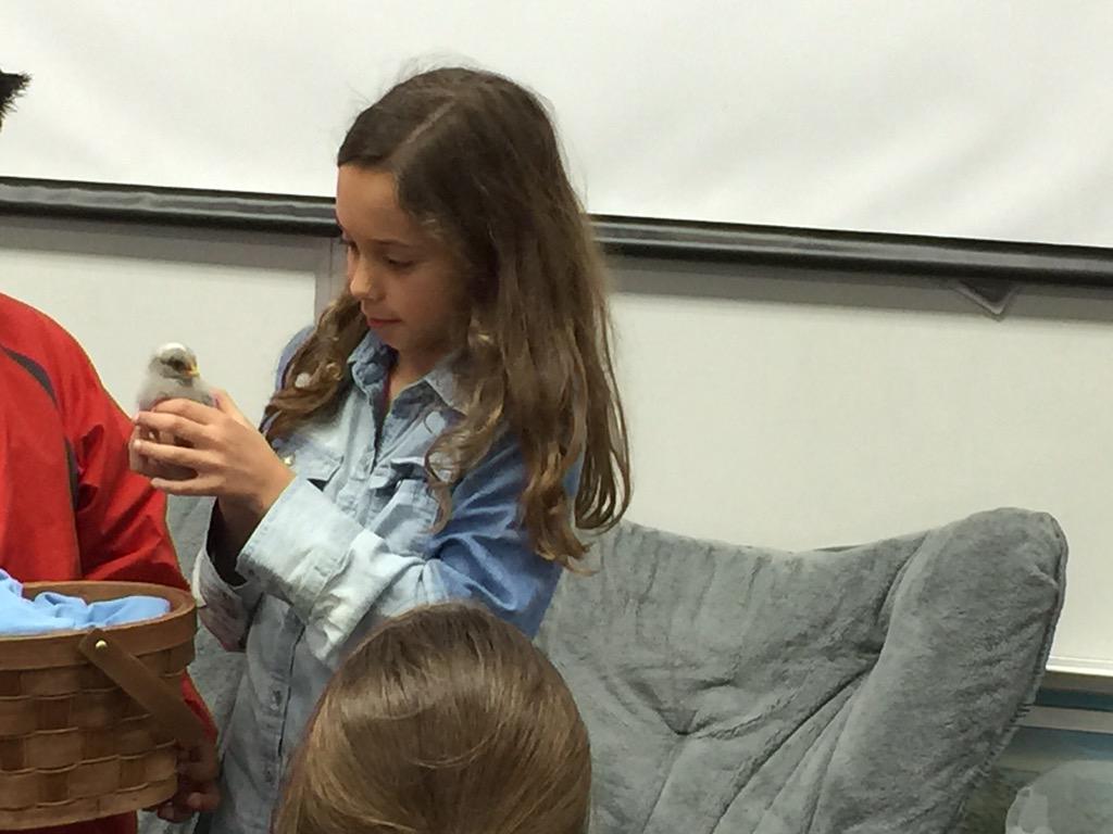 Kamryn shared her baby chicken today.