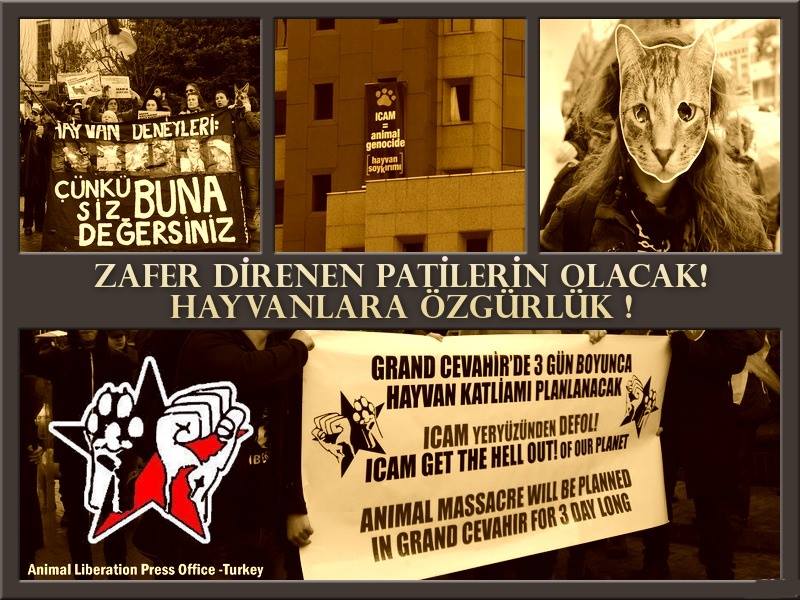 yeryuzuozgurluk's tweet photo. Yaşamı savunan herkesi 5 Mart Perş.16.30-18:00de beraber haykırmaya çağırıyoruz #dogpop2015 #NoToICAM  #ICAMaHayir http://t.co/9K9cBWUV9D