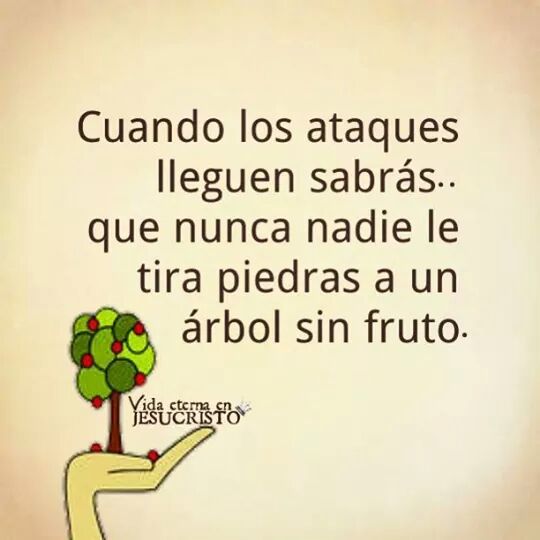 incolram's tweet photo. Hubo árboles, pero no queda ninguno... http://t.co/FArAhPpLtb