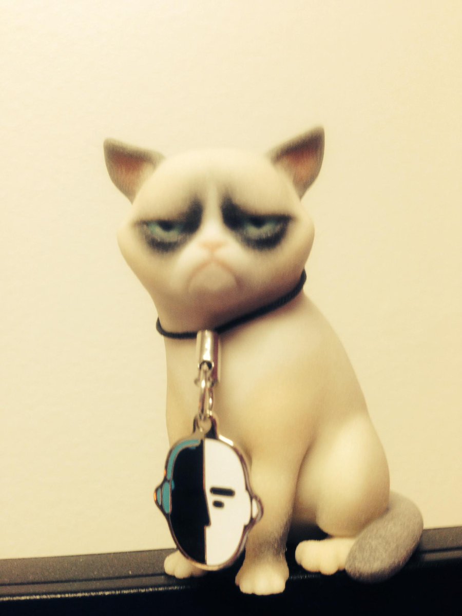 FirstCom_Music's tweet image. Even grumpy cat is a #FirstCom follower! #HappyHumpDay