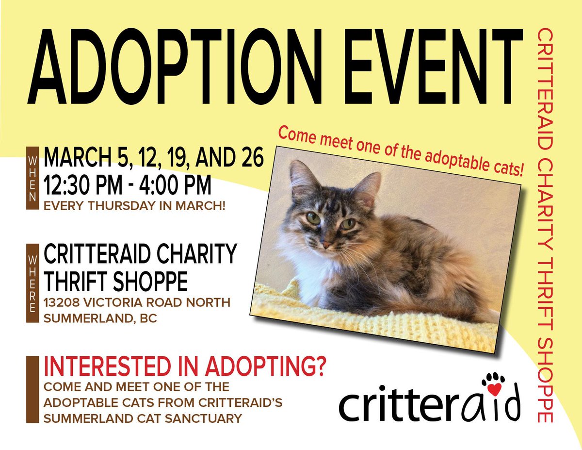 Critteraid's tweet photo. Our first #AdoptCritteraid2015 event takes place tomorrow at our #shoppe - meet one of our adoptable kitties! http://t.co/wjXFWh1mkG