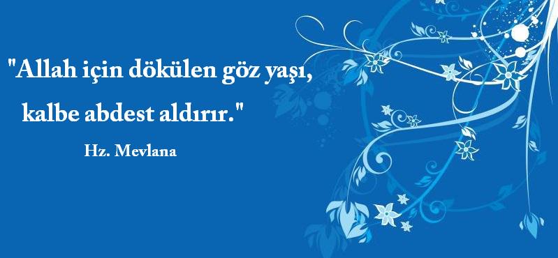 Seyfa Com On Twitter Allah Icin Dokulen Goz Yasi Kalbe Abdest Aldirir Hz Mevlana Http T Co Jaiprvpr3c twitter
