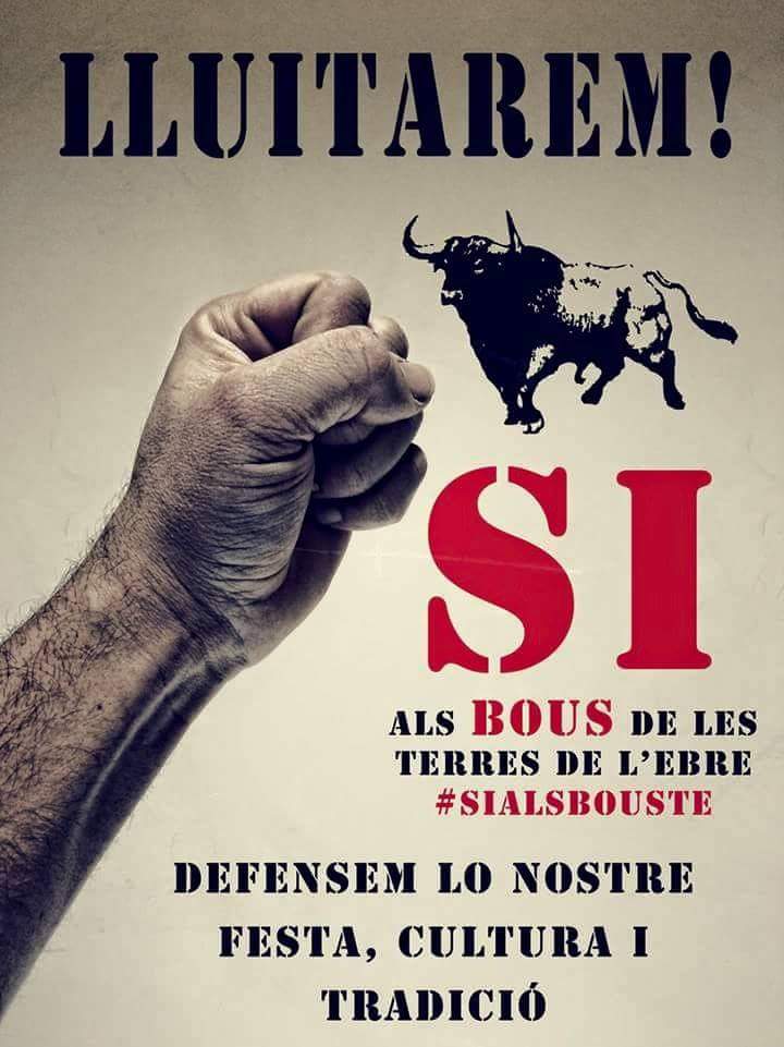 La JNC igual com les nostres diputades d CDC <a href="/AnnabelMarcos/">Annabel Marcos</a> i <a href="/MeritxellRoige/">Meritxell Roigé</a> lluitem pels bous a les TE #SiAlsBousTE