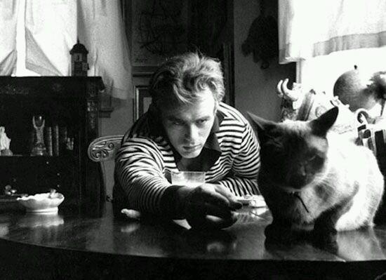CoinWuTang's tweet photo. James Dean y su gato siamés Marcus, regalo de su amiga Elizabeth Taylor. http://t.co/zgYJki94Hx