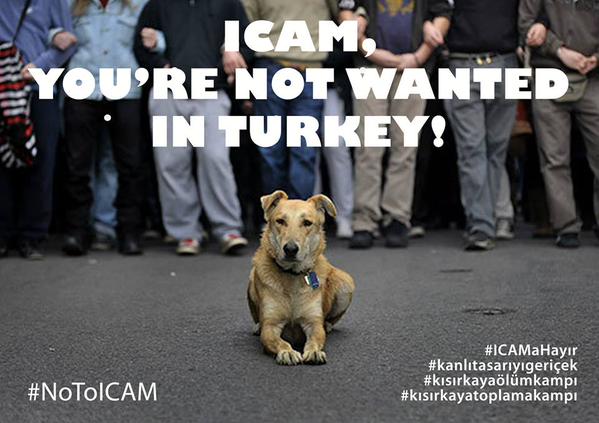 DogRescue2014's tweet photo. #dogpop2015 gives green light to indiscriminate killing of street dogs in Turkey: http://t.co/tcHBlTlhtb #NoToICAM http://t.co/bpMw0hXv2w