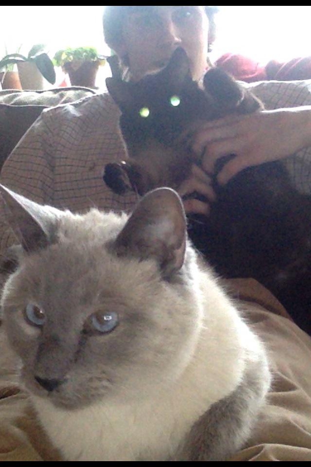 cartgriss's tweet photo. #squad #chillin http://t.co/5apJ9jn6Hz