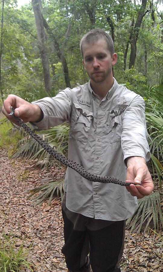 QuickCatch's tweet image. Do you know what kind of snake this is? We do. Call 904-859-6585 for humane capture &amp;amp; removal
quick-catch.com/gallery/#jp-ca…
