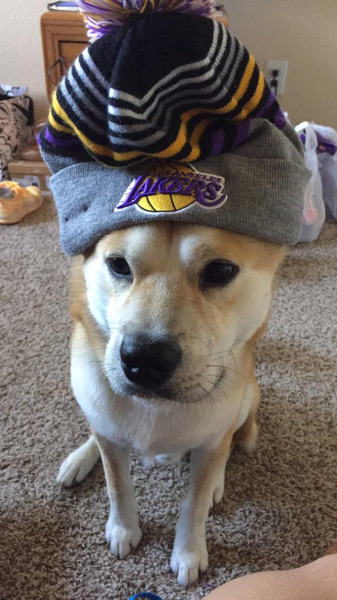 susanorama's tweet photo. Jk #lakers all the way #utsasmm http://t.co/a3eE81OMeN