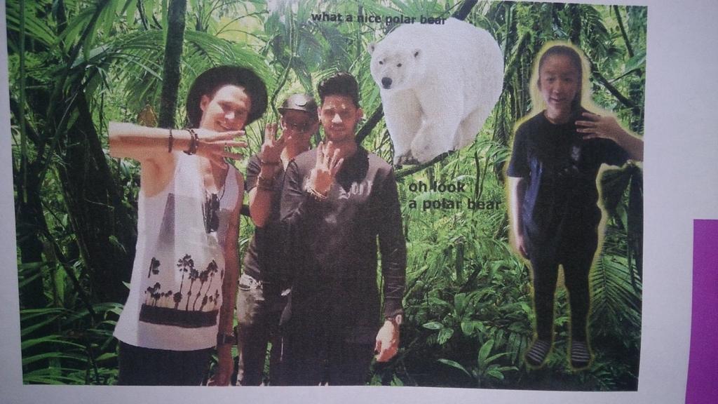 SAFourArmy's tweet photo. I met @Four_SA with this lovely polar bear... In the jungle. What a polar bear is doing in the jungle, I have no idea http://t.co/qWflRHvs9V