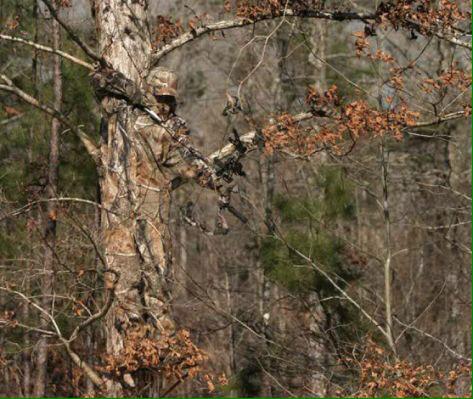 causewecountry's tweet photo. #CountryDiscussion
Retweet for Realtree
Favorite for Mossy Oak http://t.co/joSk4mgQ5U