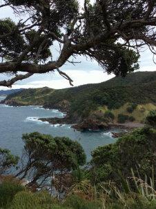 Selalu ada pahit dan manis di kehidupan saya... Entah siapa itu orangnya di dalam hati ini...