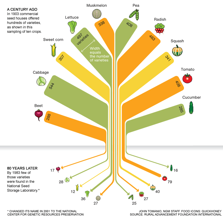 foodtank's tweet image. Over the last 80 years -- thousands of fruits and vegetables went extinct [Infographic] #ExpoWest #ExpoWest2015