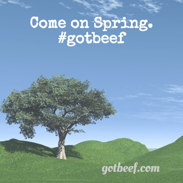 gotbeefcom's tweet image. Just sayin' #gotbeef with #winter #StormThor #tshirt #weather COME ON IN