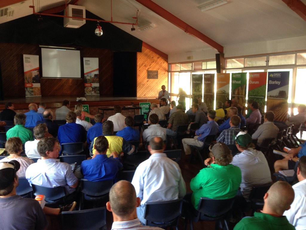 EconnectTom's tweet photo. Know your row spacing! Bec Raymond talks #chickpeas #mungbeans &amp; #fababeans at #Talwood #GRDCUpdates @theGRDC http://t.co/KXQtenkKYv