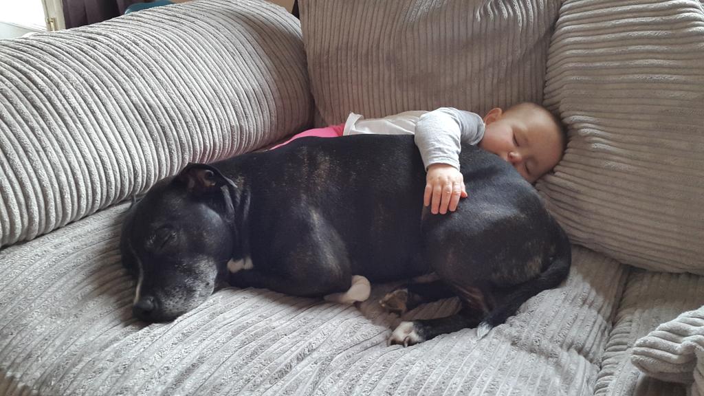 beccimac87's tweet photo. #bestbuds http://t.co/G5a07H3UL5
