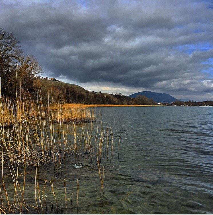 Cloudy days in #Switzerland!
Location: Cortaillod, #Neuchâtel
Source: Petit_angelus on Instagram
#hiking4fun #hiking
