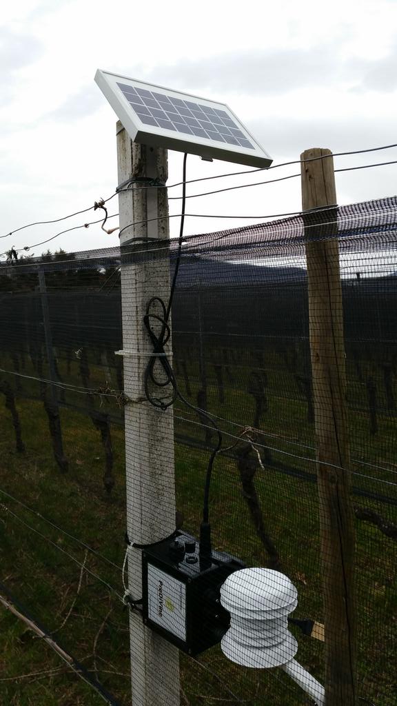 DolphinEngineer's tweet photo. First installation with @libelium #smartagriculture #sensors for prediction of vineyard diseases #predivine #Ticino http://t.co/wwQB2mn4p7