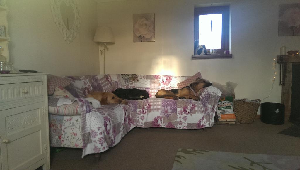 JudeThomas615's tweet image. Great...I'll sit on the floor then shall i??!!!