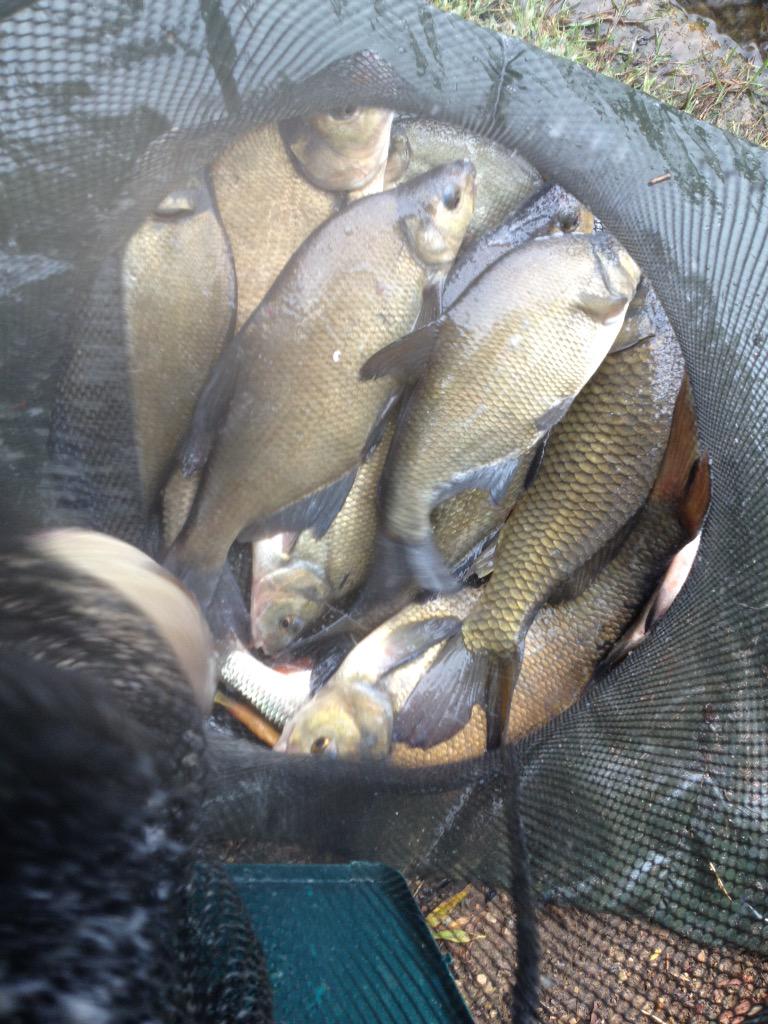 alybud88's tweet photo. Wanna go fishing but having kitchen refurb and off to London tomoz for C2C http://t.co/UbHPNfnjIZ