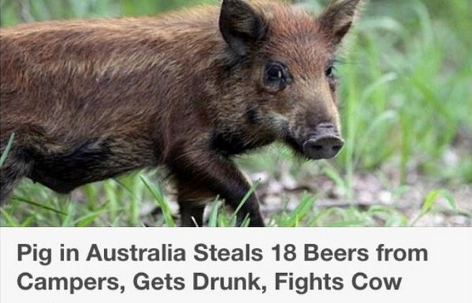 BuzzFeedUK's tweet photo. 23 stories that are wild from start to finish
http://t.co/XOk3as3ujh http://t.co/9GHzSkbNK6