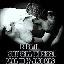 padron_cindy's tweet photo. Para ti solo sera un pero... Para mi es algo mas. http://t.co/Qcbxc6Gny9