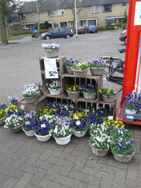 PlusvanSchaick's tweet photo. Mooie mandjes met violen nu maar €5.99! http://t.co/UJw1QbwMpf