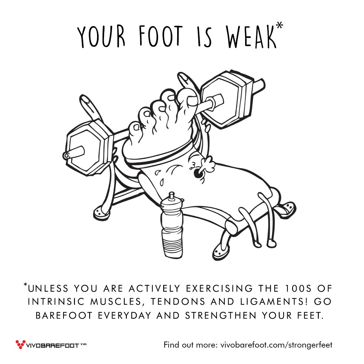 VIVOBAREFOOT tweet media