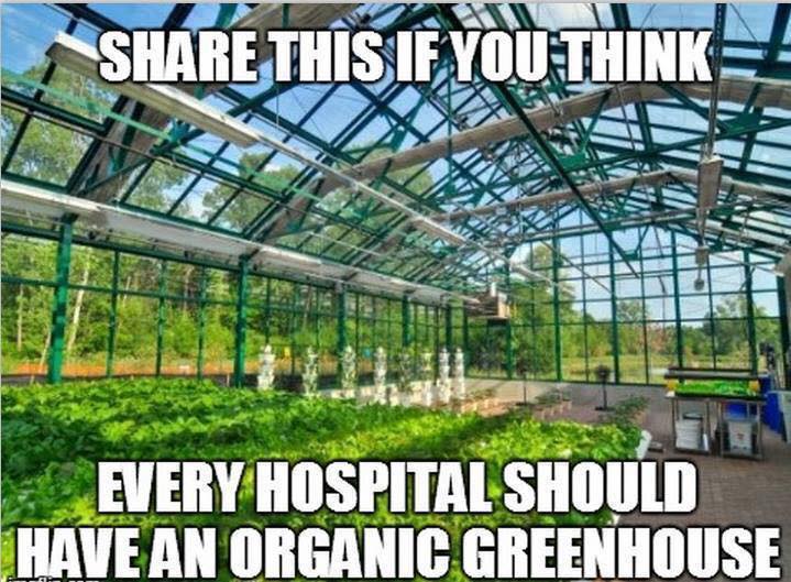 foodtank's tweet image. Share this if you think that hospitals should have an organic greenhouse! @Food_Tank