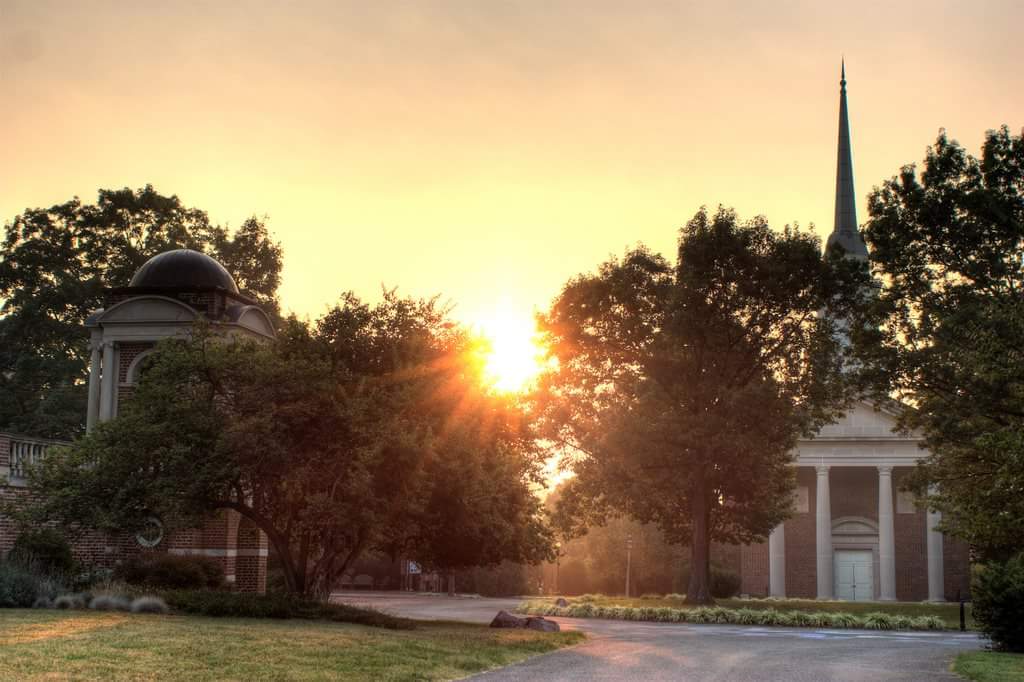 Spider Hall Farm tweet media