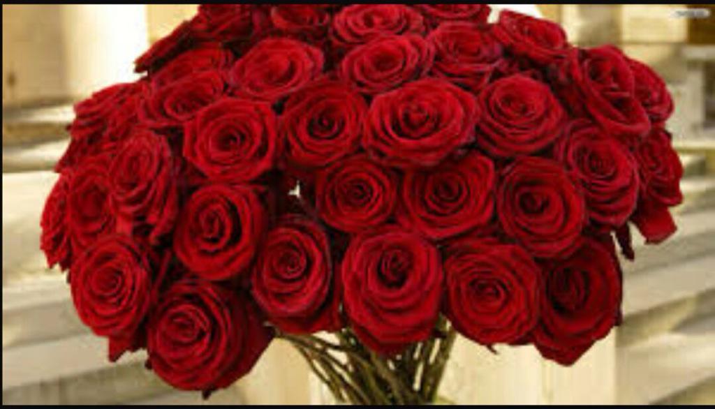 needsonly's tweet photo. بسكر التويتر للابد خلاص 😊مع السلامه http://t.co/BMUZJZS6lt