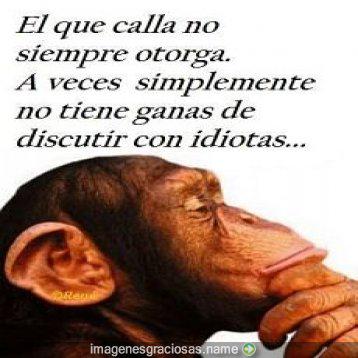 ELATENTO2 tweet picture