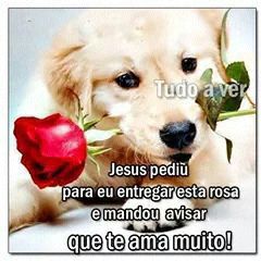 allynny wanessa (@wanessaallynny) on Twitter photo 