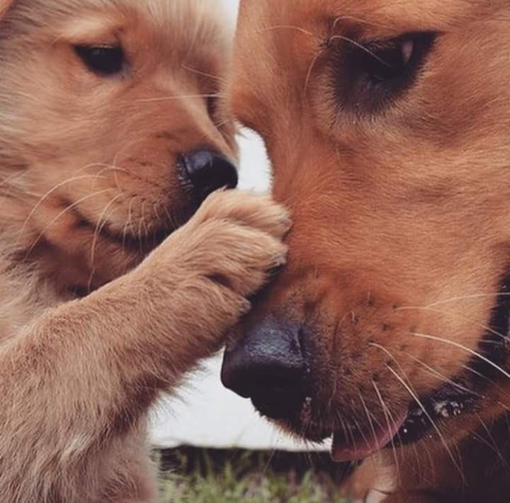 allynny wanessa (@wanessaallynny) on Twitter photo 