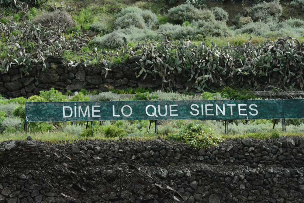 mensajeanoniman's tweet photo. "DIME LO QUE SIENTES" #tenerife #cartelautopista #anoniman http://t.co/TazWiMiYDd