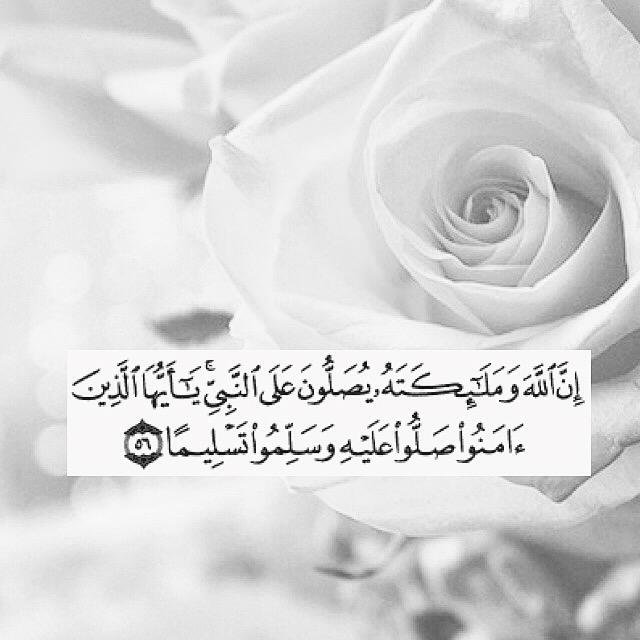 ✿صلوا على الحبيب ﷺ✿ tweet media