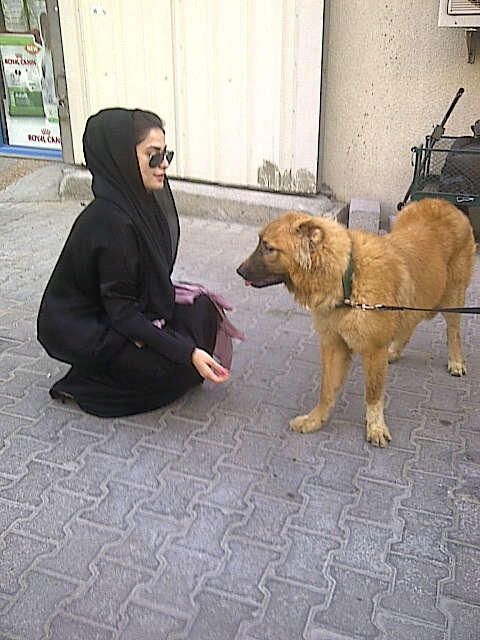 khfh_10's tweet photo. هي ع اليسار وهن ع اليمين 
#رؤى_الصبان 
@q8_mt_q8 http://t.co/54qFW4oOZb