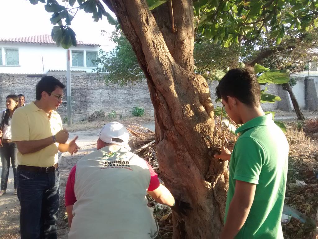 Grupos de Jóvenes ambientalistas apoyan y acompañan reforestación y recuperación del Poli #SantaMartaEstáCambiando