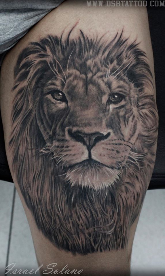 تويتر  DSB Tattoo على تويتر León lion león tattoo tatuaje realism  realista tattoospain arttattoo ink inked animal DSBTATTOO  httptcobJIcruuPxb