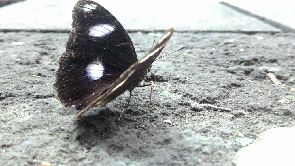 faris abid (@farissabidd) on Twitter photo 