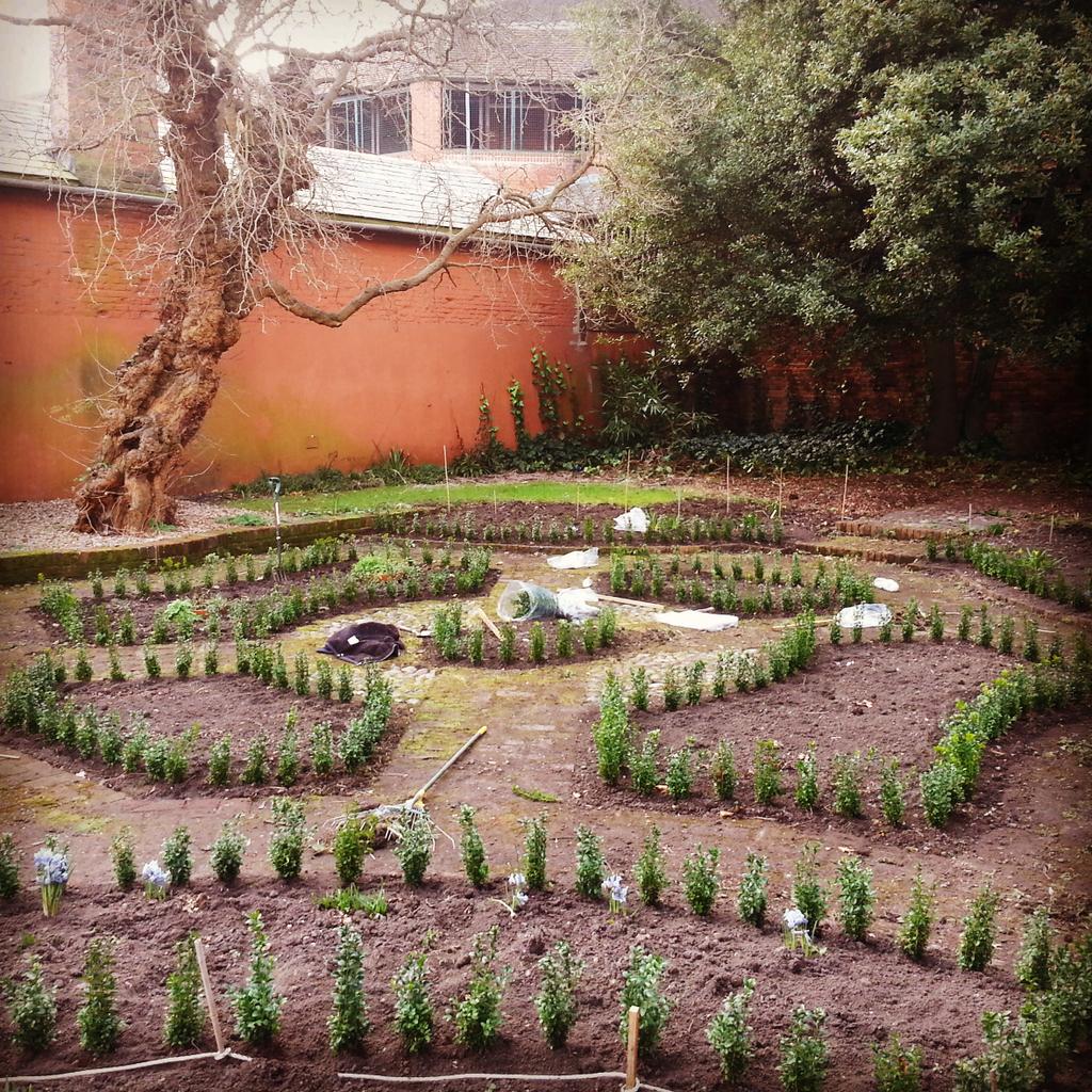 Tymperleys's tweet image. Planting the #boxtrees in the sunken #garden. #SpringIsOnItsWay #gardening #Colchester @BoxtreesNursery lovely plants