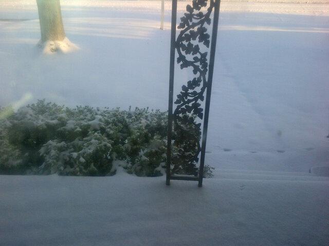 LaticiaD's tweet image. #RecordSnowfall #SnowDay 3/5/15