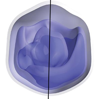 FractalScience tweet picture