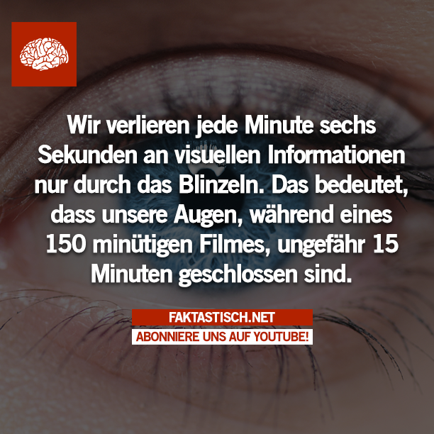 faktastisch's tweet photo. http://t.co/qm3MqxjaRX