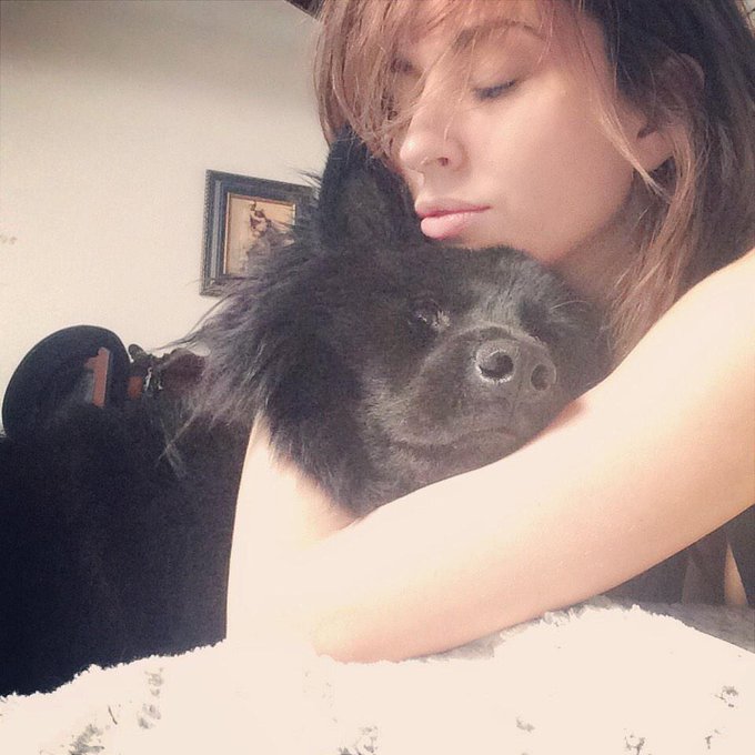 Hard day, fluffy dog. http://t.co/7f3xKL1gCg<a href="/tag/narcism"class="tags"><span>#narcism</span></a>