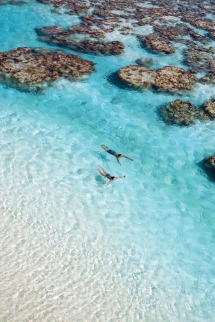 AddisonWalker6's tweet image. #tbSummer14