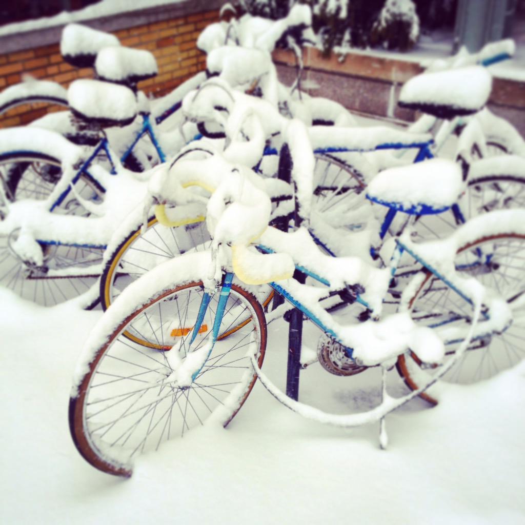 TelasMarket's tweet photo. Stay safe, come on down and say Hellooo! http://t.co/4dzfGY3fZW