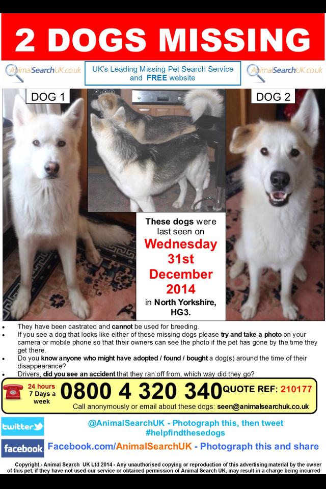 Help Find Blu & Zac tweet media