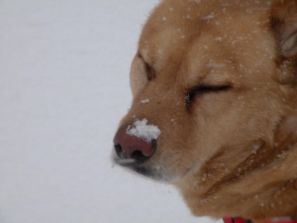 Only in Bucks County tweet media