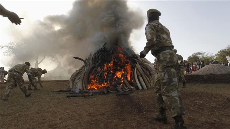 AJENews tweet picture