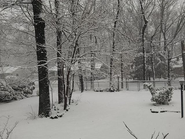 fernbrook_farms's tweet photo. @NBCPhiladelphia Snowy winter wonderland here in Browns Mills NJ http://t.co/CkPNXdDNzB